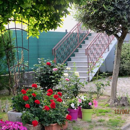Bed and Breakfast 5 Palme Terzo d' Aquileia Esterno foto