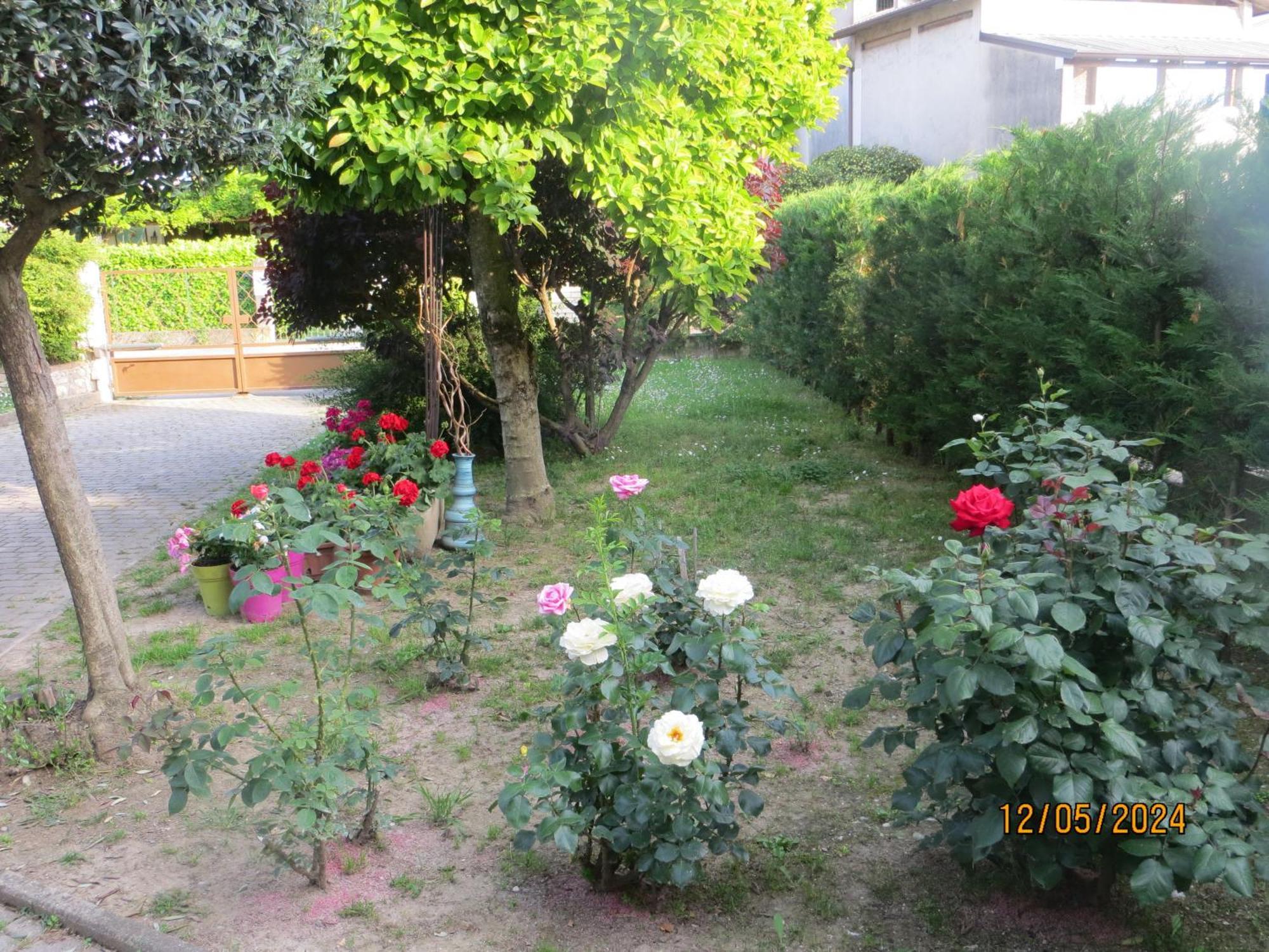 Bed and Breakfast 5 Palme Terzo d' Aquileia Esterno foto